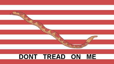 Picture - Culpepper 'Don't Tread On Me' flag w/ 13 stripes